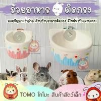 ราคา ร้านโทโมะ ถ้วยอาหาร ติดกรง ชามติดกรง เซรามิค สำหรับ ชินชิลล่า กระต่าย แกสบี้ แฮมสเตอร์ จัดส่งที่รวดเร็ว (1731267810866726109)