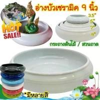 ราคา [9นิ้ว] กระถางต้นไม้ อ่างบัว อ่างเซรามิค อ่างบัวเซรามิค สีขาว เซรามิค อ่างใส่น้ำ กระถางต้นไม้ สวนถาด บรรจุ1ใบ สินค้าดี (1731711916920833819)