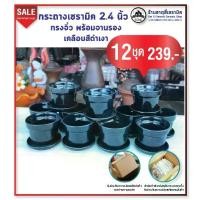 ราคา กระถางต้นไม้ เซรามิค 2.4 นิ้ว ทรงจิ๋ว เคลือบสีดำเงา พร้อมจานรอง 12 ชุด 239.- (1729674169530092109)