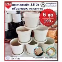 ราคา กระถางต้นไม้ เซรามิค 3.5 นิ้ว เคลือบสีขาวด้าน พร้อมจานรอง 6 ชุด 199 (1729674268114848333)
