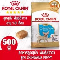 ราคา COD Royal Canin สูตร CHIHUAHUA PUPPY 500g อาหารเม็ด สำหรับลูกสุนัข พันธุ์ชิวาวา อายุต่ำกว่า 8 เดือน ร็อตไวเลอร์ แท้ ปลา ดอง แมว อาหาร บัฟ สุนัข (1731870476532679715)