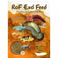 ราคา LFJFKO COD ขายอาหารปลาคุณภาพชนิดลอย สีส้ม RoF Exo Feed 850g. ปลากัด หางใบโพธิ์ อาหาร ปลา ไฮเกรด (1731876411124778851)