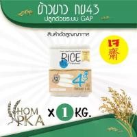 ราคา ข้าวกข43 แท้ 100% (43 / RD43 Rice variety) ตรา หอมผกา (สติ๊กเกอร์) บรรจุ 1 kgs./ ลัง) ปลูกด้วยระบบ GAP ข้าวสาร ข้าวหอม ดัชนีน้ำตาลต่ำ (1729566989892618793)
