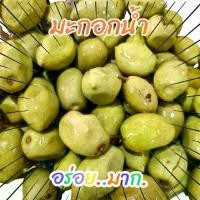 ราคา มะกอกน้ำดอง ผลไม้ดอง 1 กิโลกรัม (1729728119512861682)