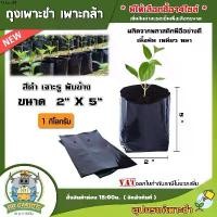 ราคา บายมอร์ KU ถุงเพาะชำ สีดำ ขนาด 1Kg. *มีให้เลือกซื้อ14ไซส์* เนื้อมัน เหนียว หนา ถุงเพาะ ถุงชำ ผลไม้ ต้นไม้ บอนสี ผักซอง ผัก (1731985517815759923)