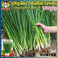 ราคา เมล็ดพันธุ์ ต้นหอม หอมแดง เมล็ดหอมแดง 700 เมล็ด Shallot Seeds Spring Onion Vegetable Seeds ผักออแกนิค เมล็ดพันธุ์ผัก ผักสด เมล็ดผัก พันธุ์ผัก ผักสวนครัว เมล็ดผักสวนครัว ปลูกผัก ส (1732181648725805757)