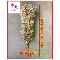 ราคา 【จัดส่งจากประเทศไทย】 ไม้ขนไก่ความยาว 65cm ขนลาย ไม้ปัดขนไก่ ไม้ปัดฝุ่น ด้ามพลาสติก อุปกรณ์ทำความสะอาด สินค้าHandmade ปัดรถยนต์ ปัดบ้าน ตู้ เครื่องใช้สำนักงาน (1731806161190356220)