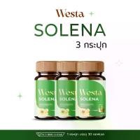ราคา (3 กระปุก) Westa Solena โซลีน่า วิตามิน มือชา เท้าชา น้ำตาลสูง เหน็บขา คลายปวด บรรจุ 30 ซอฟเจล 100% สารสกัดจากโสม CoQ10 Alpha-lipoic acid Vitamin B1-B12 600 mg/เม็ด (1732027222081373412)