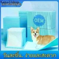 ราคา ✿แผ่นรองฉี่สุนัข ซึมซับไดีดี ต่อต้านแบคทีเรีย แผ่นรองฉี่ ผ้ารองฉี่สุนัข แผ่นรองฉี่แมว แผ่นรองซับ ทรายแมว✤ (1731845914251004249)