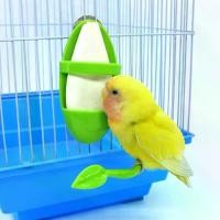 ราคา ภาชนะใส่อาหารพลาสติก สำหรับนกแก้ว เช่น ฟินช์ คอนูร์ นกแก้ว อาหารนกแก้ว ที่ใส่อาหารพลาสติก เหมาะสำหรับนกแก้ว อุปกรณ์สำหรับนก (1732046831561311536)