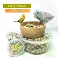 ราคา COD บานไม่รู้โรยป่าอบแห้ง สมุนไพรสำหรับนก บานไม่รู้โรยป่า ดอกบานไม่รู้โรยป่า อาหารนก (1732239422006397239)