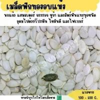 ราคา เมล็ดฟักทองอบแห้ง (แบ่งขาย 100-500 G.) อาหารนก อาหารแฮมเตอร์ ระรอก (1731957012749714887)