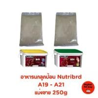 ราคา อาหารนกลูกป้อน Nutribird A19 - A21 สูตรสำหรับลูกนกทุกสายพันธ์ุ อาหารลูกป้อนนก อาหารนก (แบ่งขาย 250g) (1729697480229423805)