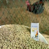 ราคา อาหารไก่ เอ็กซ์ตร้าชัวร์ อาหารนก extra sure (1731593858435155713)