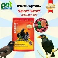 ราคา [400กรัม] สูตรร้องไว อาหารนกขุนทอง Smartheart สมารท์ฮารท์ อาหารนกเอี้ยง อาหารนก ขนมนก อาหารสำหรับ นกขุนทอง นกเอี้ยง (1729622774304770578)