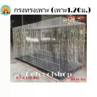 ราคา พร้อมส่งจากไทย กรงเพาะไซค์บิ๊กเบิ้ม กรงเพาะนก เพาะกระรอก เพาะกระต่าย เพาะชูก้า(เพาะ1.20) กรงนก กรงไก่ กรงกระรอก ราคาจากโรงงานครับ!!! (1731931721085781243)