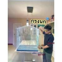 ราคา [ส่งฟรี] กรงนก กรงชูก้า กรงกระรอก (1731244603426702586)