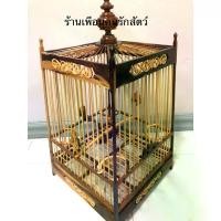 ราคา Discount กรงนกหัวจุก กรงนก 15ซี่ (ไม้ขี้เหล็ก) พร้อมหัว กรงนก กรงนกหัวจุก สำหรับนกกรงหัวจุก กรงนก กรงนกหัวจุก พร้อมส่ง ถูกที่สุด อาหารเม็ด (1731244066088584503)