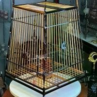 ราคา กรงนก15ซี่สปอร์ตไม้ขาวดำไผ่ เสาสายฟ้า 2400 (1729591425955039237)