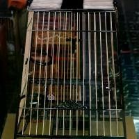ราคา กรงนก15ชี่ ไม้ขาวดำ แต่งตุ้ม ซี่ไผ่ (1729589345449576453)