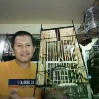 ราคา กรงนก13ช่างบี ไม้ขาวดำ (1729779675726907397)