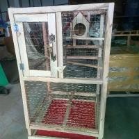 ราคา กรงนก กรงกระรอก (1729641903021853669)