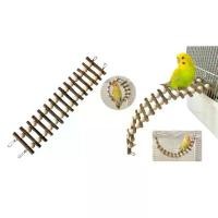 ราคา ขาตั้งฝึกคอนสำหรับนกแก้ว กรงนก มีตะขอ แขวนกระป๋องสำหรับนกแก้วขนาดเล็ก (1729833860131031788)