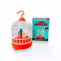 ราคา ของเล่น กรงนก ใส่ถ่าน นกกรง มีเสียง มีไฟ (1731164943418100094)