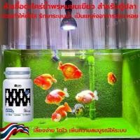 ราคา [พร้อมส่ง] หัวเชื้อตะไคร่ สร้างตะไคร่ พรมขนเขียว สำหรับตู้ปลาทอง Goldfish Green algae Carpet ตะไคร่ ปลาทอง ตู้ปลา ปลา ปลาน้ำจืด ปลาสวยงาม รันชู อาหารปลา อาหารหอยต่างๆ (1731536324896131055)