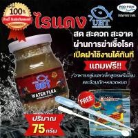 ราคา คลังสินค้า อาหารปลา ไรแดง UHT สำหรับ ปลาหางนกยูง ปลากัด ปลาสวยงาม ฟรี!! อาหารสำหรับปลาขนาดเล็กทุกชนิด และ ช้อนตัก+หลอดห (1731891121162651373)