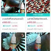 ราคา แขวนน้ำเข้มข้นเบต้าอุบัติไฟต์ Betta SUN ทำให้ปลากัดเก่ง แขวนน้ำ X23-4 วันแรก ดราก้อนบอลตู้ปลา ชุดปลูกหญ้าในตู้ปลา อาหารปลาหางนกยูงเม็ดจิ๋ว 10 บ้านปลาแต่งตู้ปลา ปลากัดปลอม ซิลิก้า (1729734366643849733)