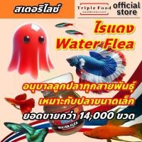 ราคา คําแนะนําผลิตภัณฑ์ใหม่ของเดือนนี้ คำแนะนำสมอ อาหารปลา ไรแดง TF ไรแดงปลากัด อาหารลูกปลาหางนกยูง อาหารลูกปลา ไรแดงสด แทน ไรแดงแช่แข็ง ไลแดง (1731703406296794863)