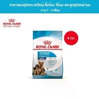ราคา Royal Canin Maxi Starter Mother & Baby Dog 4kg อาหารเม็ดแม่สุนัข และ ลูกสุนัขหย่านม พันธุ์ใหญ่ อายุ 1-2 เดือน (Dry Dog Food, โรยัล คานิน) (1730754634687941064)