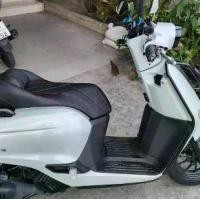 ราคา เบาะ Honda giorno ทรง Sport,สนใจทักมา/พร้อมส่งค่ะ รถ มอเตอร์ไซค์ (1729741882650495270)