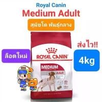 ราคา Exp.12/25 Royal Canin Medium Adult 4kg โรยัลคานิน อาหารสุนัขโต พันธุ์กลาง ถุง ขนาด 4 กิโลกรัม ขาย (1732075356390262651)