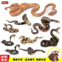 ราคา ฟิกเกอร์โมเดลสัตว์ป่า สมจริง สำหรับเด็ก สัตว์เลื้อยคลาน งูเห่า งูหางกระดิ่ง หนูตะเภา ของเล่น (1731299227752236983)