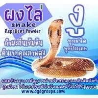 ราคา กำมะถันผง ผงไล่งู ผงกำจัดแมลง อนุภาคไล่งู กำมะถันผสมดินเบา ไล่แมลง สัตว์เลื้อยคลาน แมลงฯลฯ ไม่มีพิษ (1731891132107425575)