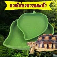 ราคา ถาดใส่อาหารและน้ำทรงใบไม้สำหรับเต่าบก สัตว์เลื้อยคลาน ชามใส่อาหารและน้ำเต่า (1729918514582489648)