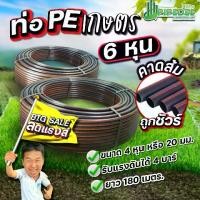 ราคา ท่อ pe เกษตร ขนาด 25 มม. (6 หุน) ยาว 180 เมตร คาดส้ม (1732027066072336631)