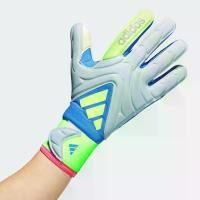ราคา adidas ฟุตบอล ถุงมือผู้รักษาประตู Copa League Unisex สีน้ำเงิน JH3794 (1732119956215139091)
