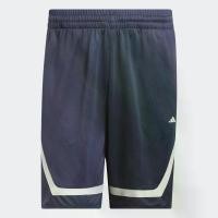 ราคา adidas บาสเกตบอล กางเกงขาสั้น adidas Pro Block ผู้ชาย สีน้ำเงิน IL2246 (1731651287186835219)