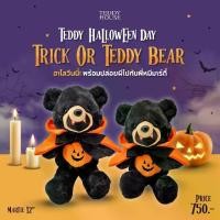 ราคา [TK] TEDDY HOUSE: TEDDY Halloween Day Trick or Teddy Bear ฮาโลวีนนี้ พร้อมปล่อยผีไปกับพี่หมีมาร์ตี้กัน ตุ๊กตาหมีฮาโลวีน (1732265713090857915)