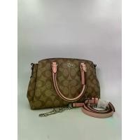 ราคา (Second-hand) " Coach F29434 Mini Sage Carryall Signature Beige PVC Tote Bag BEG Used" (1730858297845386238)