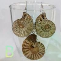 ราคา ชุดต่างหูจี้ Ammonite Set Ammonite pendant , earrings เซ็ทแอมโมไนต์ แอมโมไนต์ จี้ ต่างหู หอยล้านปี คตหอย ใส่พกติดตัว หอย สินค้าดี (1731886511459698055)