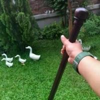 ราคา Gold ไม้ตะพด ไม้มะค่า/ไม้ประดู่ หัวกลม คละสีคละเล่ม (ยาวประมาณ 85-90ซม.) สินค้าแนะนำ (1731843134910006834)