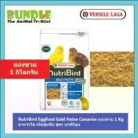 ราคา NutriBird Eggfood Gold Patee Canaries แบ่งขาย 1 Kg อาหารไข่ เนื้อชุ่มชื้น สูตร นกคีรีบูน COD (1732196724826539519)