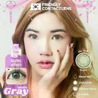 ราคา Friendly คอนแทคเลนส์ รุ่น Stella Gray กล่องม่วง DIA 14.2 mm ขนาดเท่าตา {ค่าสายตา 00 ถึง -600} (1731947744794937261)