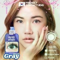 ราคา Friendly คอนแทคเลนส์ รุ่น Finale Gray กล่องน้ำเงิน DIA 14.2 mm ขนาดเท่าตา {ค่าสายตา 00 ถึง -800} (1731954213488658349)