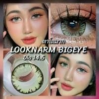 ราคา Icy,Shimmer Green สีเขียว,Gray, Brown (สายตาปกติถึง -1000) คอนแทคเลนส์ตาโตมาก ประกายหิมะใหญ่สุด (1731517739590583692)