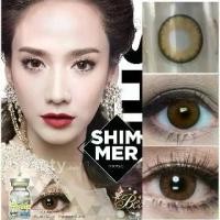 ราคา คอนแทคเลนส์รุ่น Shimmer gray & brown สีเทา/สีน้ำตาล (1729786276008135015)